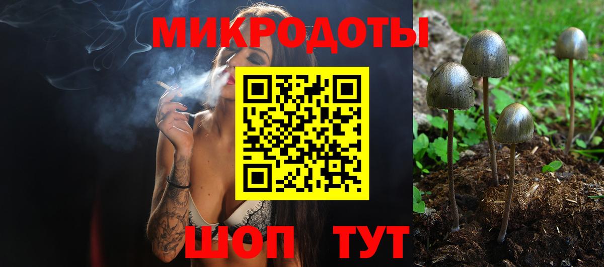 Галлюциногенные грибы GOLDEN TEACHER Кинешма