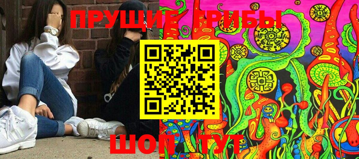 Кинешма  Псилоцибиновые грибы мицелий  Вход с VPN  Псилоцибиновые грибы Magic Shrooms 